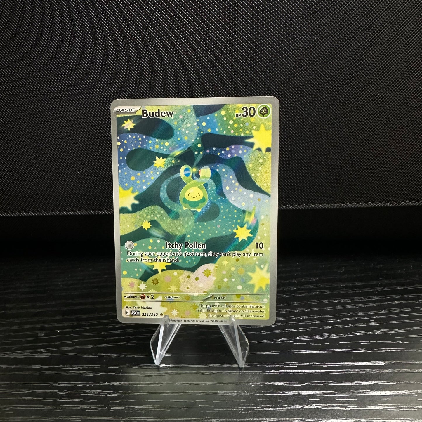 Budew - 221/217 - ME: Ascended Heroes (ASC) (Near Mint)