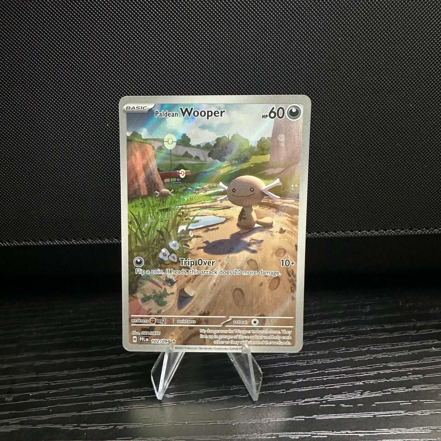 Paldean Wooper - ME02: Phantasmal Flames (PFL) (Near Mint)
