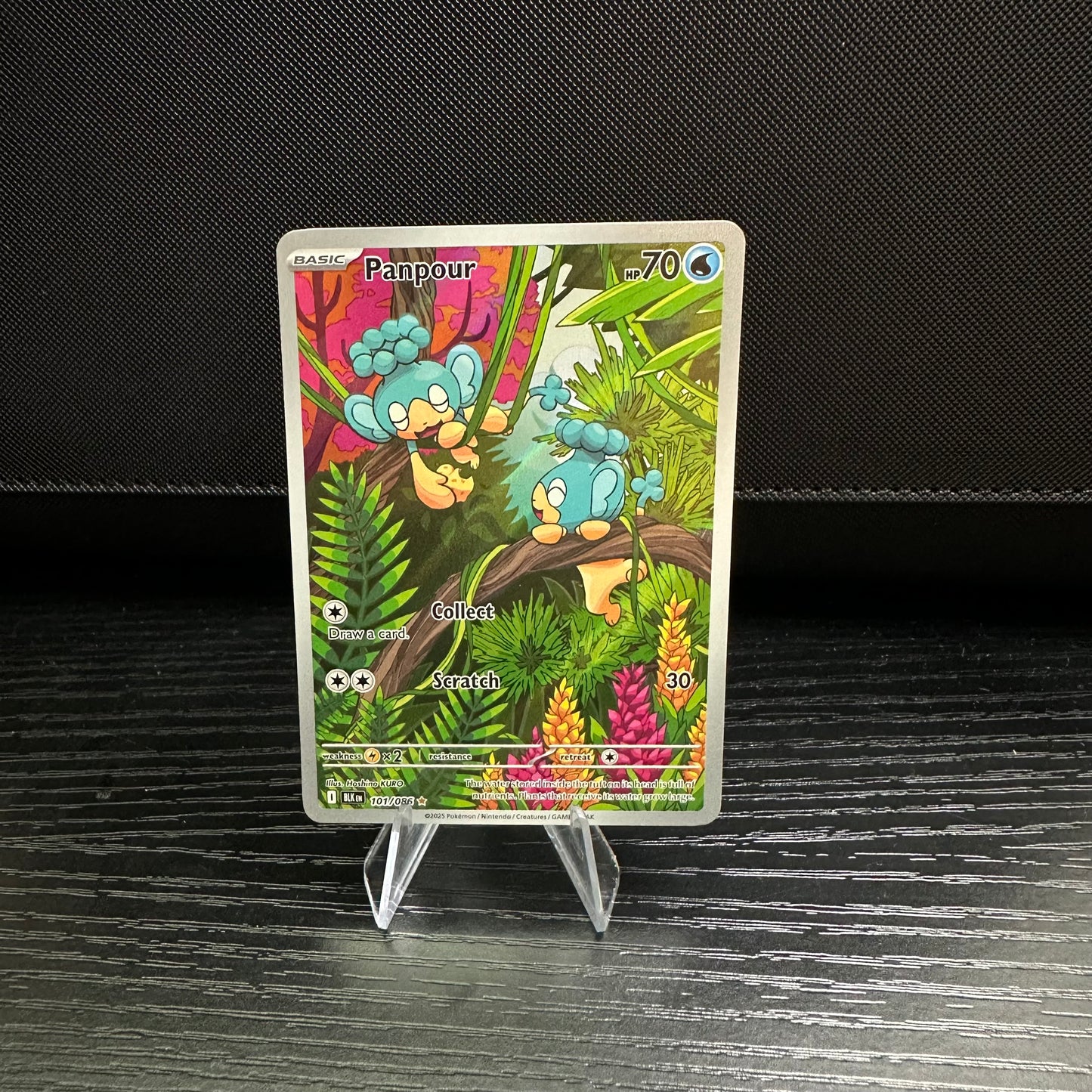 Panpour - 101/086 - SV: Black Bolt (BLK) (Near Mint)