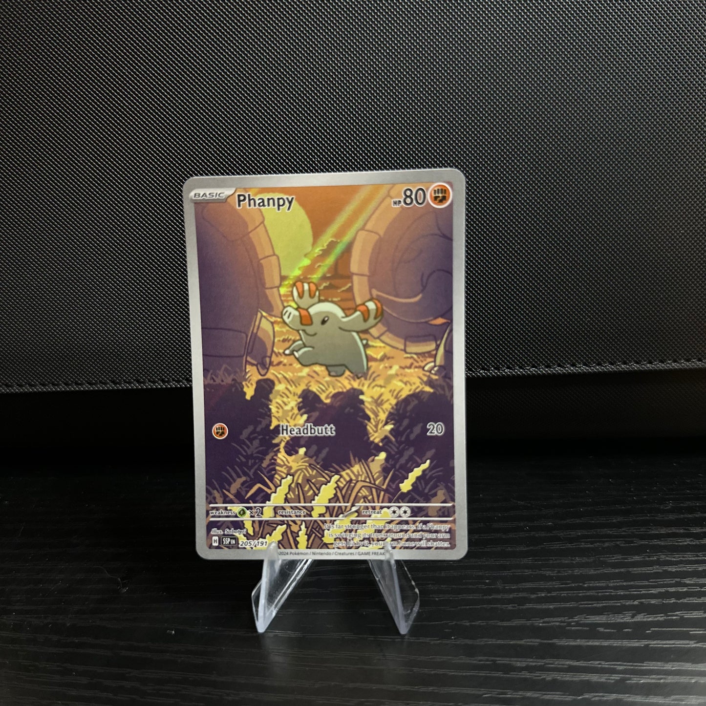 Phanpy - 205/191 - SV08: Surging Sparks (SSP) SV08: Surging Sparks (Near Mint)