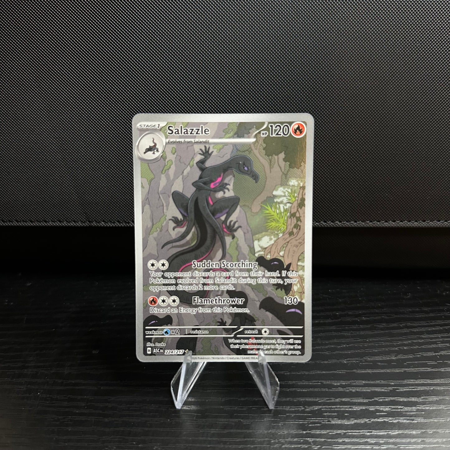 Salazzle - 224/217 - ME: Ascended Heroes (ASC) (Near Mint)